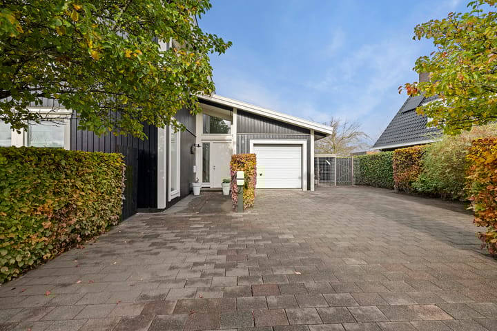 Foto 59 van It Sinderlân 31