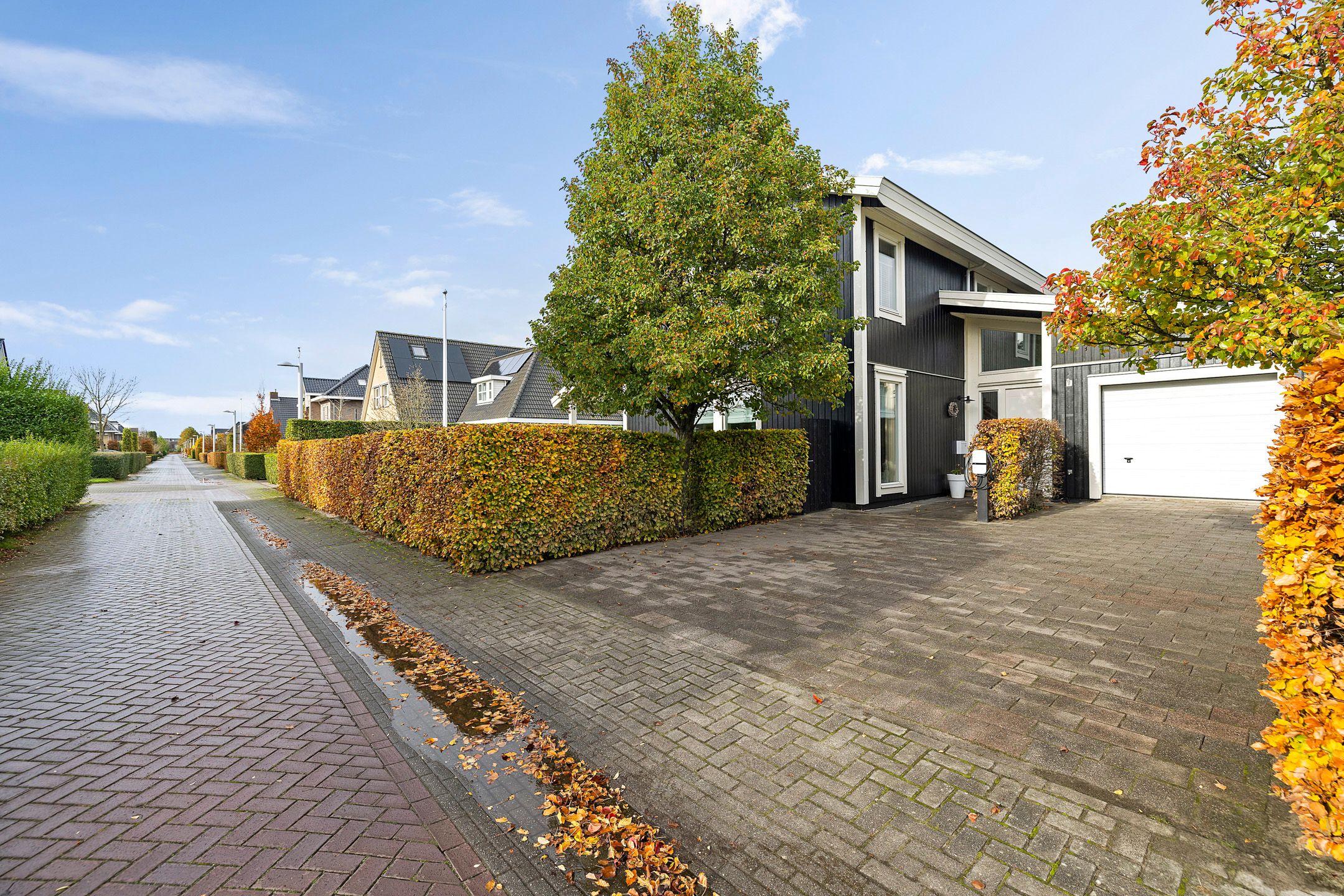 Foto 60 van It Sinderlân 31