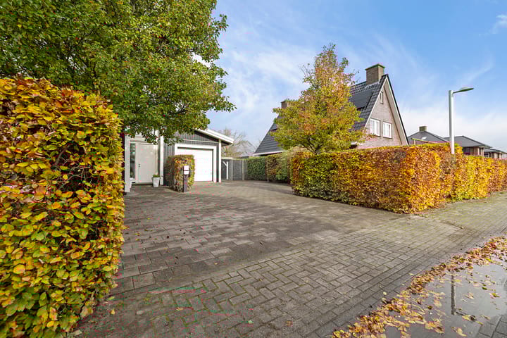 Foto 61 van It Sinderlân 31