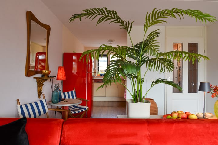 Foto 14 van Kalmoes 67