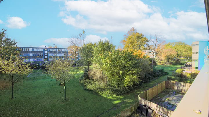 Foto 16 van Spinaker 103