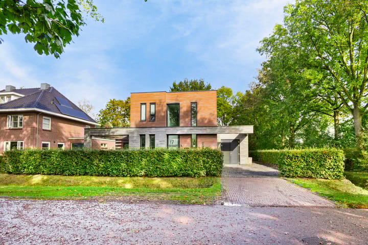 Foto 3 van Damastbloem 17