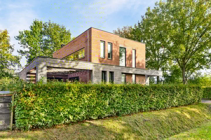 Foto 4 van Damastbloem 17