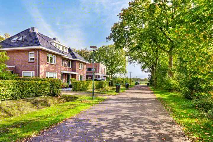 Foto 8 van Damastbloem 17