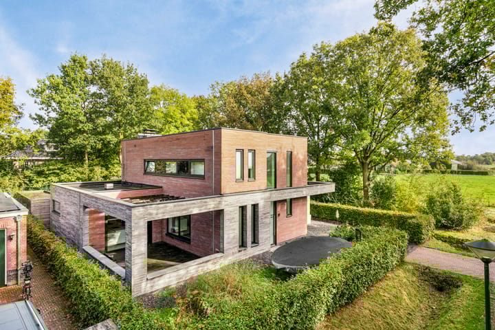 Foto 13 van Damastbloem 17