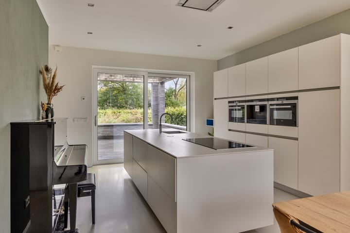 Foto 21 van Damastbloem 17