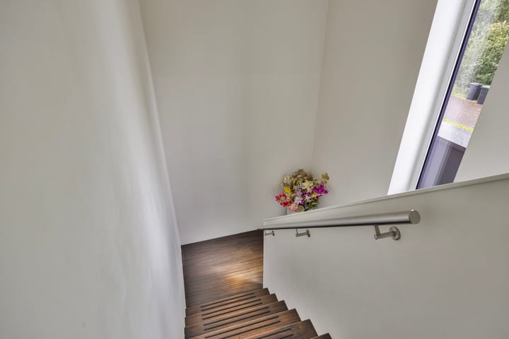 Foto 26 van Damastbloem 17