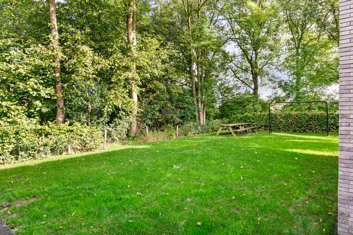 Foto 37 van Damastbloem 17