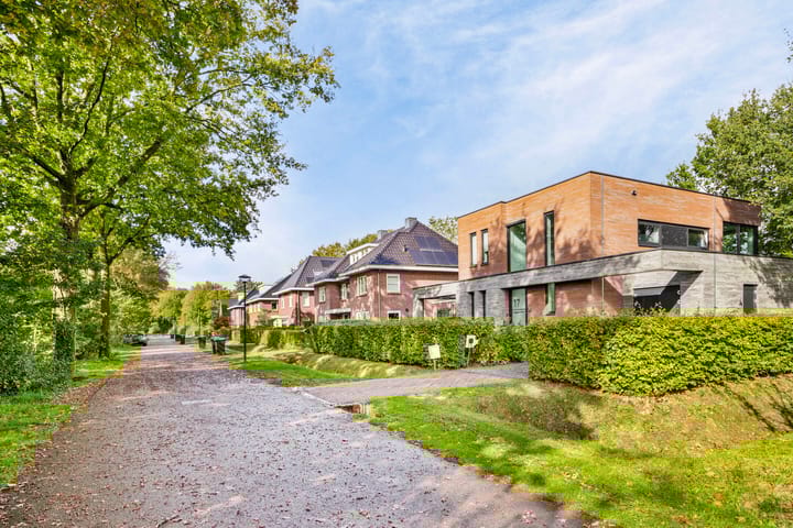 Foto 41 van Damastbloem 17