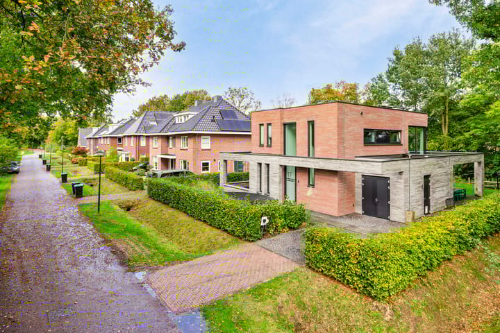 Foto 42 van Damastbloem 17