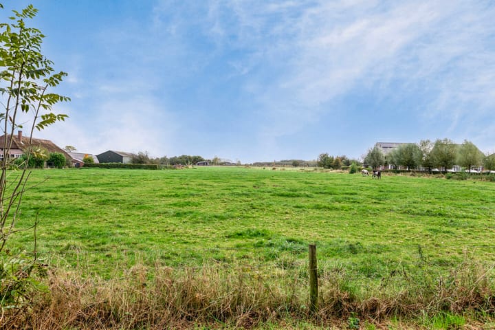 Foto 45 van Damastbloem 17