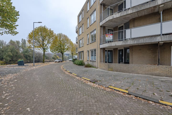 Foto 6 van Zuiddiepje 102