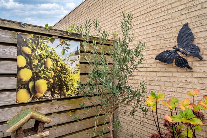 Foto 38 van Ericaplein 7