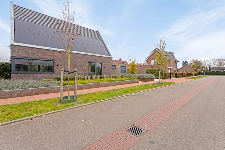 Foto 47 van Wiejerd 4