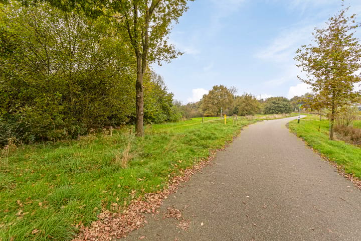 Foto 49 van Wiejerd 4