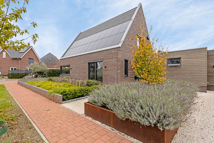 Foto 1 van Wiejerd 4