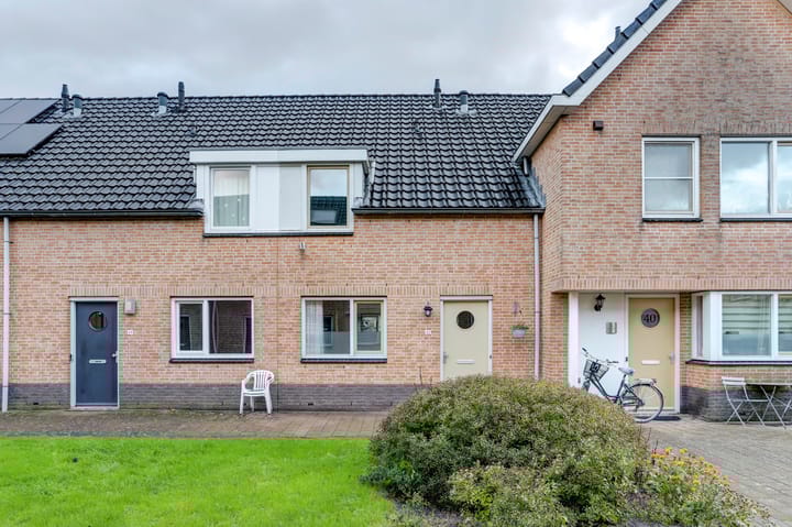 Foto 1 van Koningsvaren 42