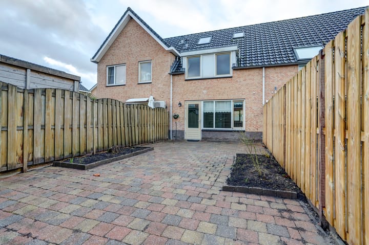 Foto 2 van Koningsvaren 42