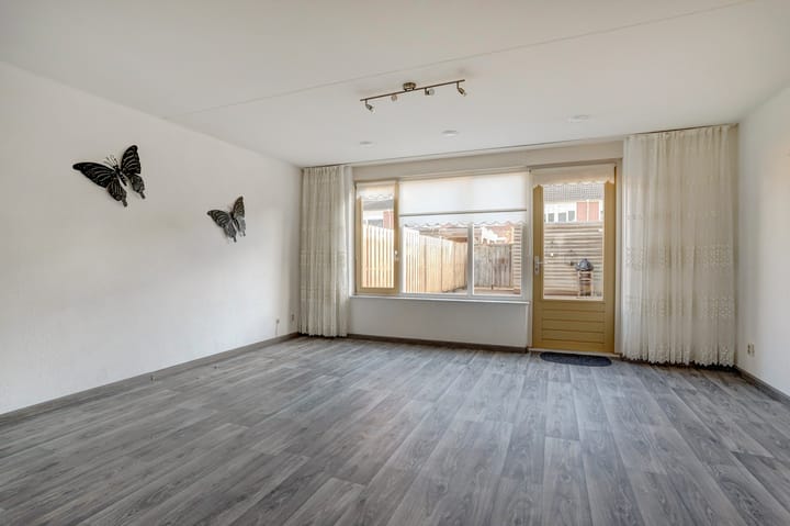 Foto 6 van Koningsvaren 42