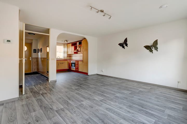 Foto 8 van Koningsvaren 42