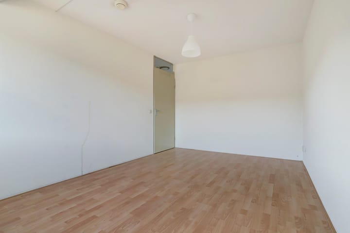 Foto 15 van Koningsvaren 42