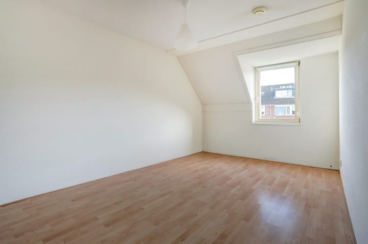 Foto 14 van Koningsvaren 42