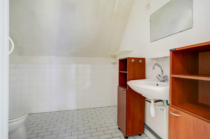 Foto 19 van Koningsvaren 42