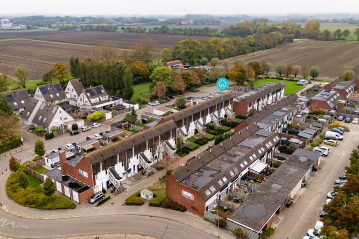 Foto 2 van Kanariesprenk 51