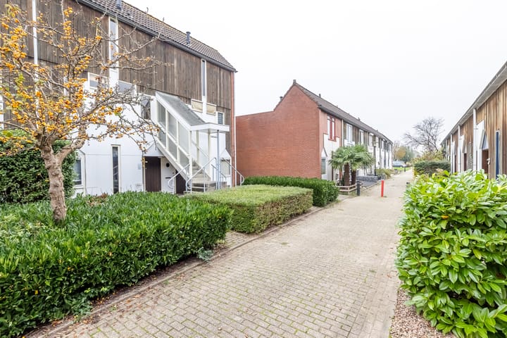 Foto 4 van Kanariesprenk 51