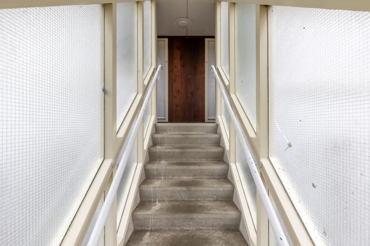 Foto 5 van Kanariesprenk 51