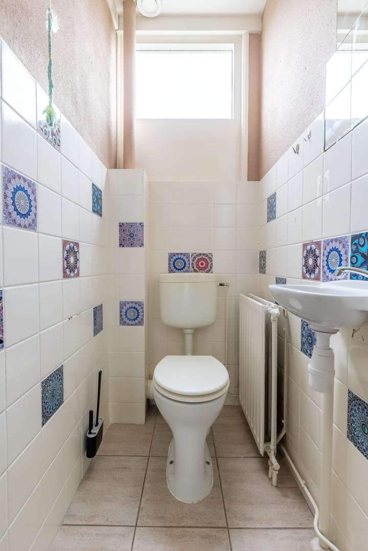 Foto 8 van Kanariesprenk 51