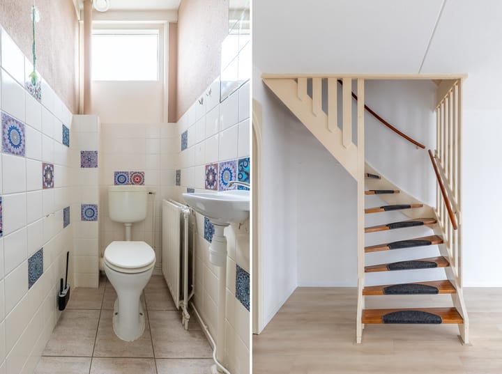 Foto 9 van Kanariesprenk 51