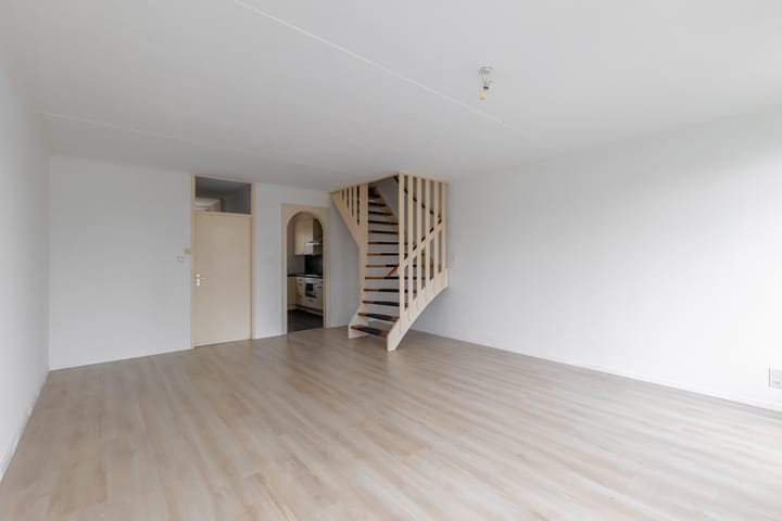 Foto 12 van Kanariesprenk 51