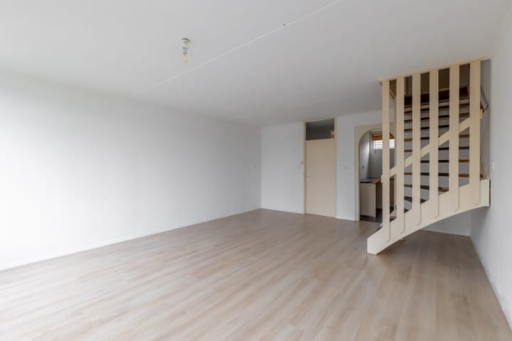 Foto 13 van Kanariesprenk 51