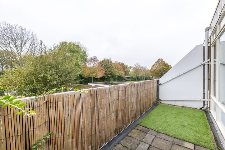 Foto 14 van Kanariesprenk 51