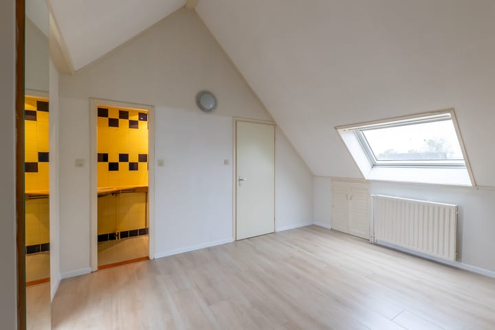 Foto 18 van Kanariesprenk 51