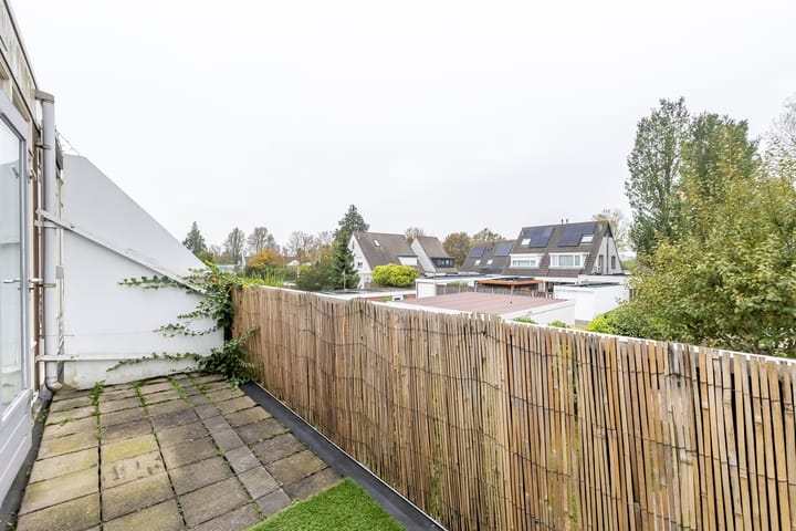 Foto 15 van Kanariesprenk 51