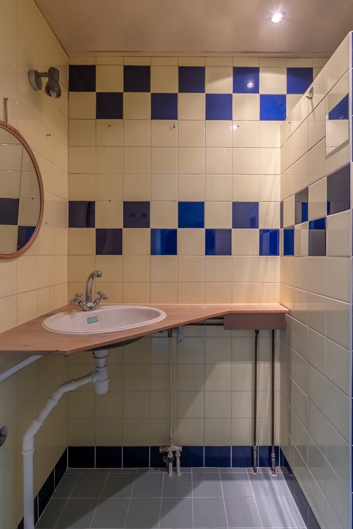 Foto 19 van Kanariesprenk 51