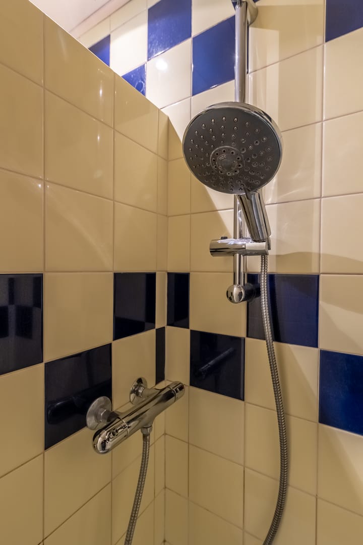 Foto 20 van Kanariesprenk 51