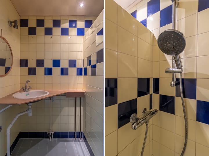 Foto 21 van Kanariesprenk 51