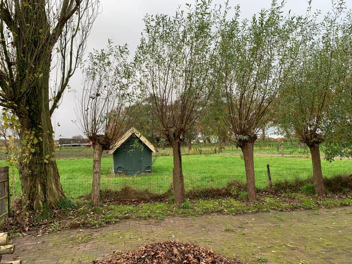 Foto 26 van Olthofsweg 1-A