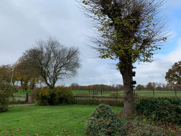 Foto 34 van Olthofsweg 1-A