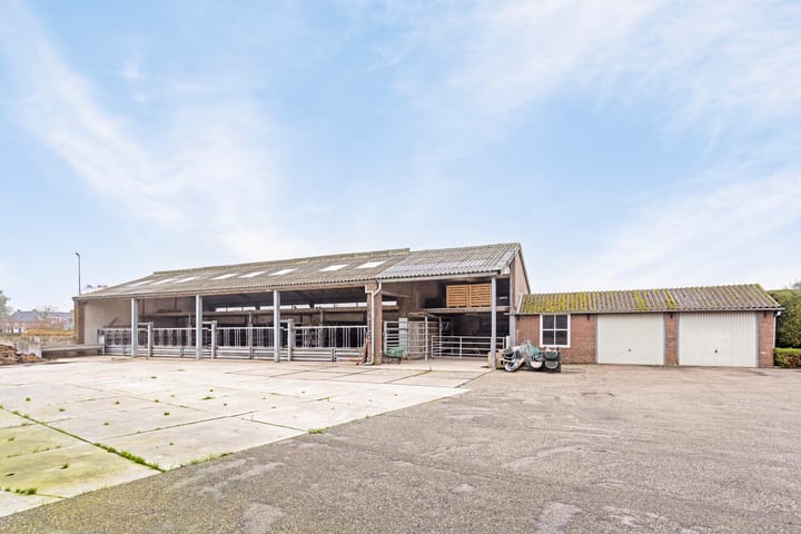 Foto 5 van Waalbandijk 101