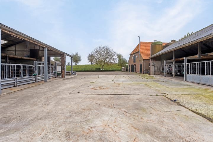 Foto 39 van Waalbandijk 101