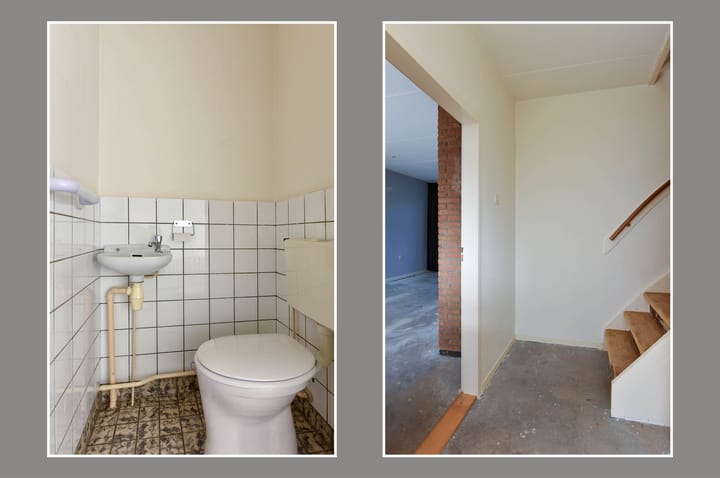 Foto 3 van Grutto 12