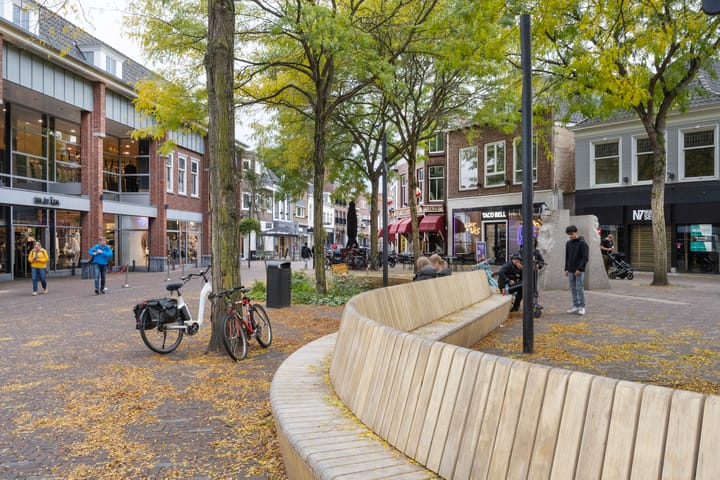 Foto 41 van Zuidsingel 9-2