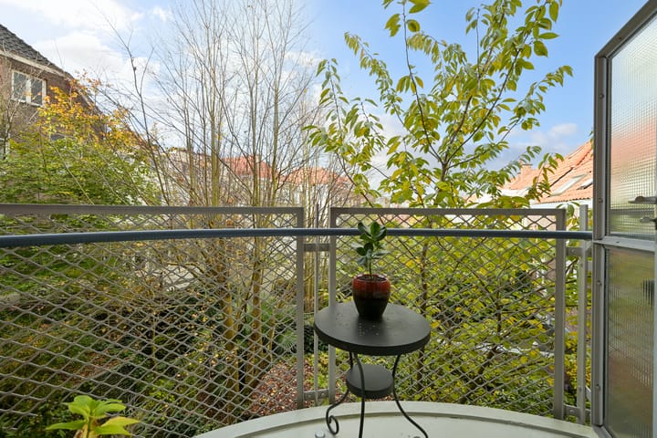 Photo 11 of Dorus Rijkersplein 19