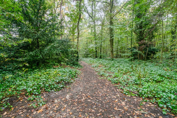 Bekijk foto 36 van Korte Bergweg 22