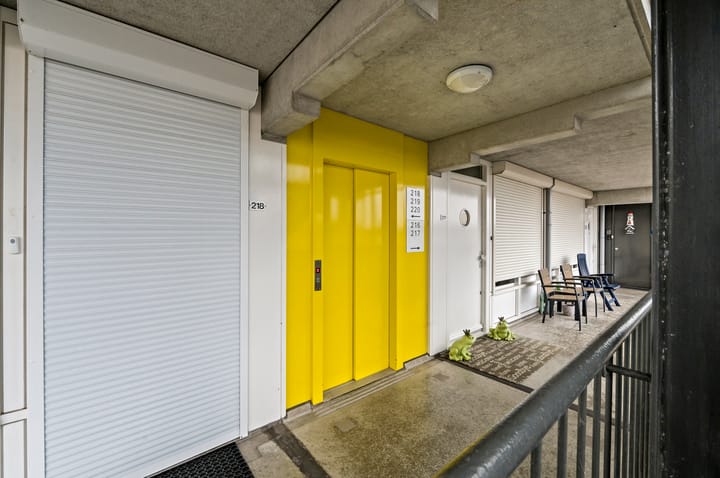 Foto 4 van Palaceplein 219