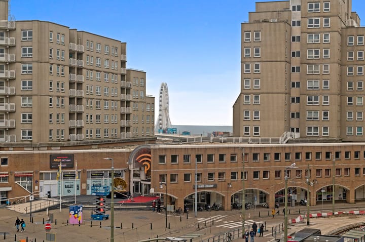 Foto 13 van Palaceplein 219